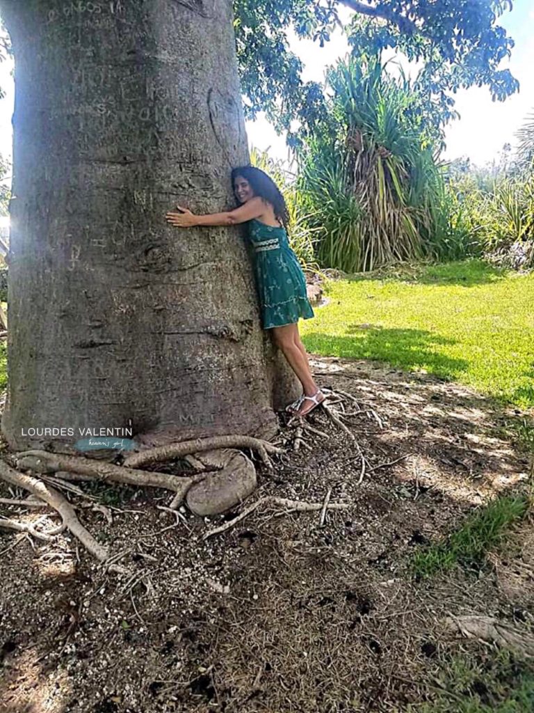 Huging a Boabab Tree Journey into a Beautiful World  Lourdes Valentin